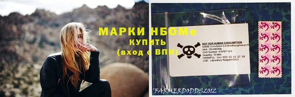 сатива Вязьма