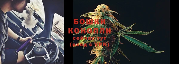 сатива Вязьма