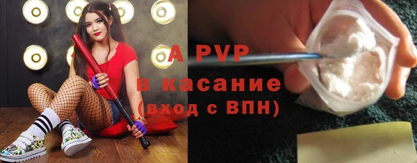крисы Вязники