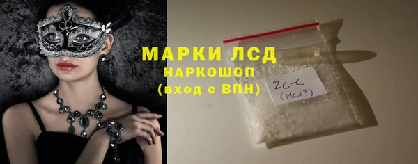PSILOCYBIN Горняк