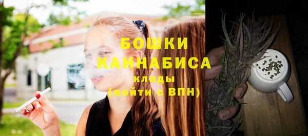 сатива Вязьма